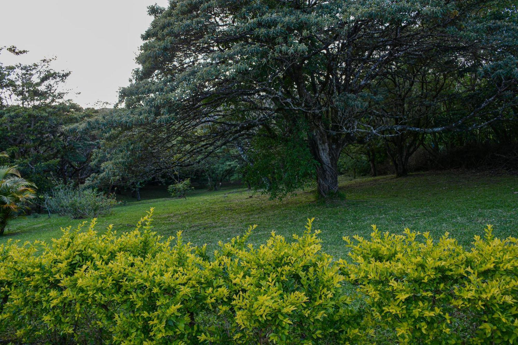Las Marias Monteverde - Mountain View Cottages & Gardens Exterior photo